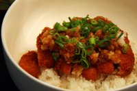 20090111_oroshikatsudon_03